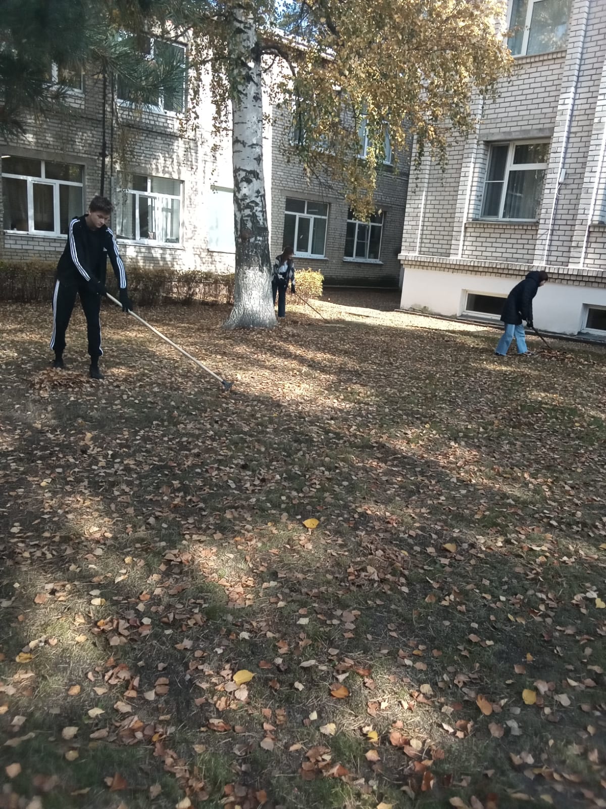 IMG 20231013 WA0032